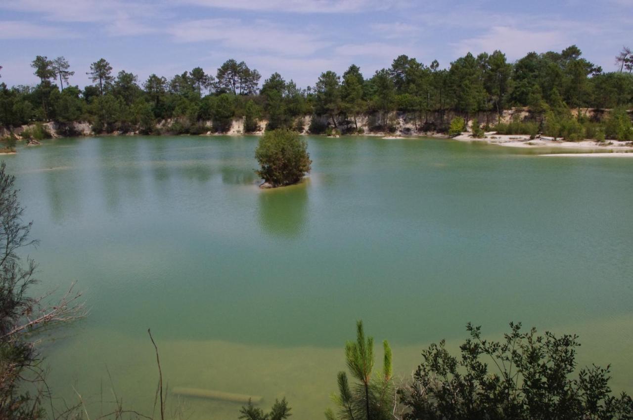 Les Roulottes Vesta Villa Léognan Dış mekan fotoğraf